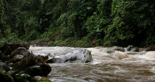 Timelapse of a river of which the muddy water level is going down after a heavy rainfall