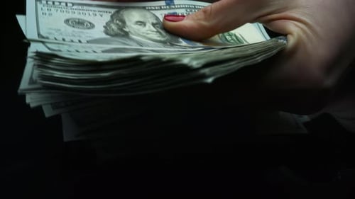 Female Hands Holding Money Cash. Businesswoman Hands Counting Dollar Banknotes