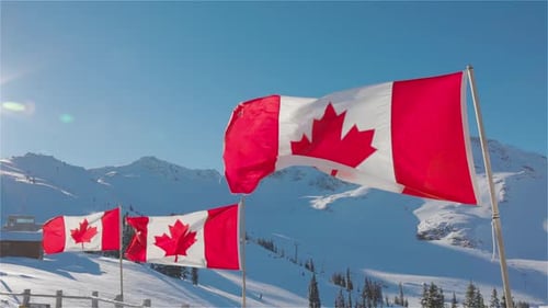 Canadian Flags Waving against Snowy Mountain Backdrop
