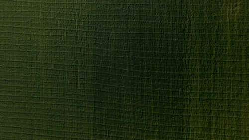 Bird View of Green Wheat Fields at Sunny Morning