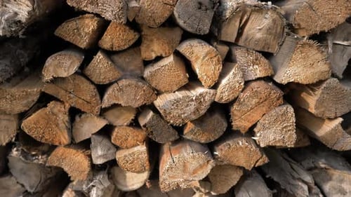 Des bûches de bois de chauffage soigneusement empilées dans le tas de bois