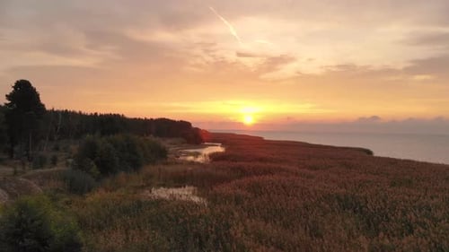 Aerial View of Coastal Marsh at Sunset
