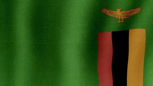 Realistic Waving Flag of Zambia Animation Loop