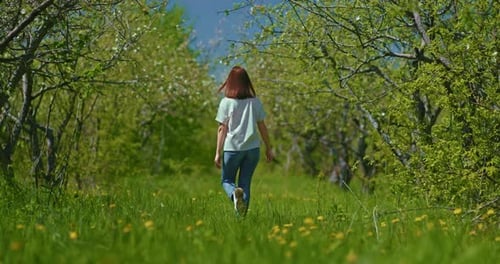 Young Woman is Strolling in Blooming Garden in Early Springtime Rear View Prores