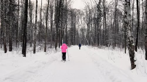 People are Walking in Snow Covered Park The Woman Goes on Skis The Massif From a Trunk of Trees