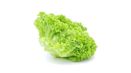 Green Salad Lollo Loopable