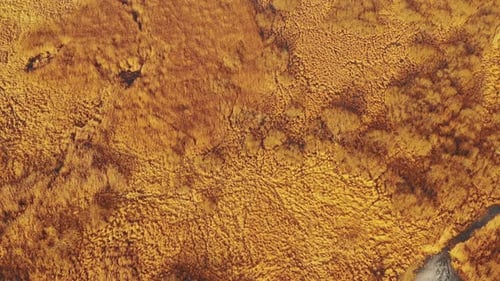Aerial View Of Marsh Bog Swamp Landscape