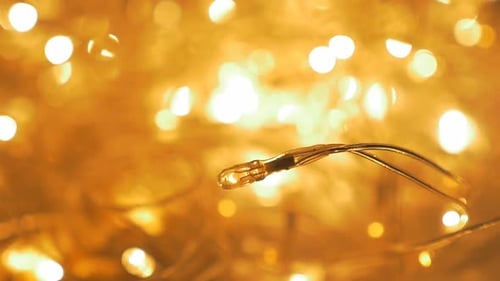 Glowing Fairy Lights Creating Warm Bokeh Background