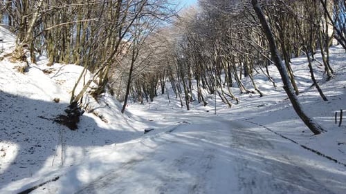 Winter Park 12