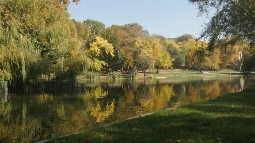 Morning sun and reflections on the pond water 3840X2160 UltraHD tilting footage - Colorful nature b