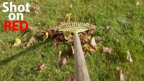 Raking Leaves On A Green Lawn In The Garden At Fall A Pov Shot On Red ...
