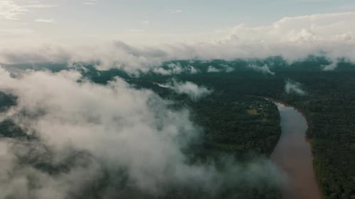 Vista aérea de las nubes que cubren la selva amazónica de Ecuador. Disparo de Zumbido