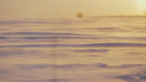 Schneewetter-Klimakonzept