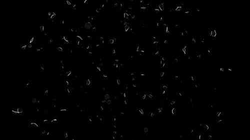 Shutter-Glas