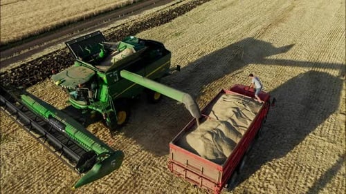 Combine Harvester Filling Truck with Grain on Farm