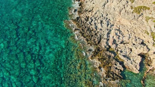 Sea and Rough-Edged Land