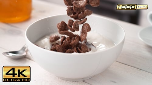 Cocoa Shell-Shaped Cereals Falling into Bowl with Milk