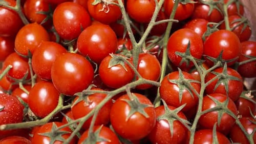 Heap of Fresh Red Tomatoes Lies for Sale in Supermarket