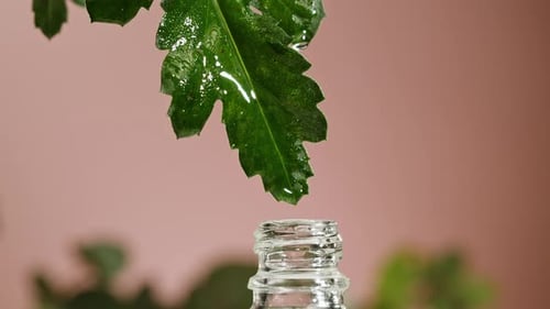 Perfumery