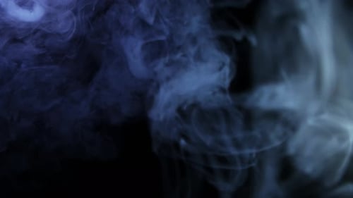 Fog (4K)