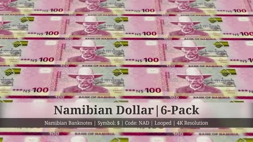 Namibian Dollar | Namibia Currency - 6 Pack | 4K Resolution | Looped