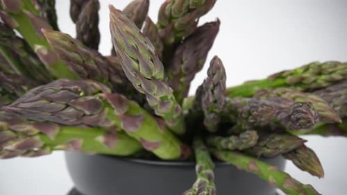 Asparagus 32