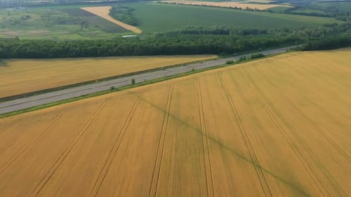 Aerial View Of Green Fields 30