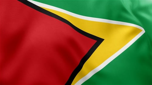 Guyana National Flag Realistic Waving Loop