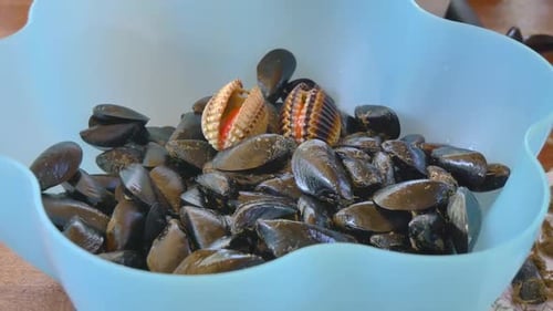 Female hands cleaning seashells gathered fresh from the sea. Plastic bowl full of fresh mussels at w