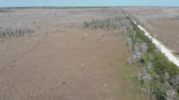 loop road florida everglades big cypress swamp establishing shot aerial ...