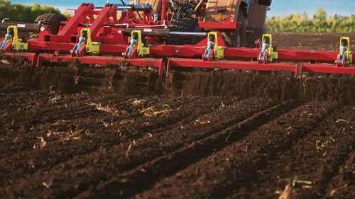 Red Combine Harvester Plows the Loose Earth in Field for Planting New Wheat on Sunny Summer Day
