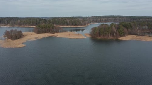 AERIAL: Isolated Little Islands in the Lake with Reeds Waving in Wind and Forest in the Background