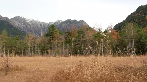 Mountain With Dry Grass field