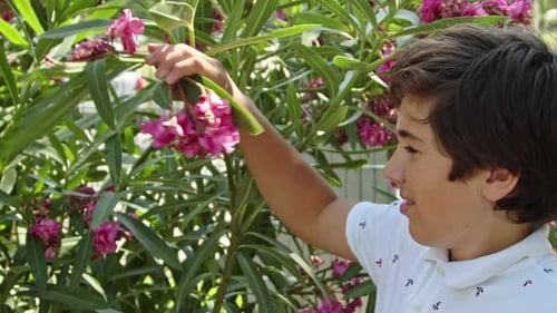Teenage Boy Smells Purple Flowers In The Park