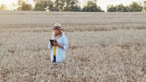 Beautiful Middle Aged Woman On Wheat Field