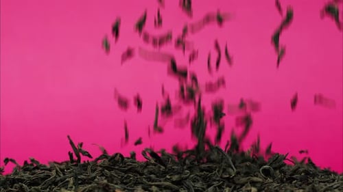 Dried Tea Leaves Falling Against Pink Backdrop