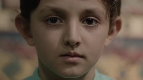 Close Up of Boy with Curly Brown Hair