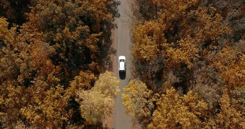 Aerial Top Down View of White Car Driving on Country Road in Forest in At.