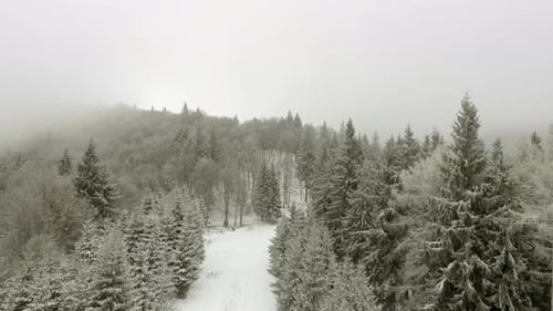 Winterwald durch die Wolken