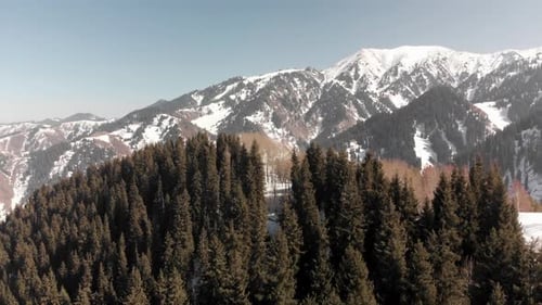 Snowy Mountain Peaks and Evergreen Forest Aerial View