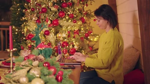 Entrepreneur Using Computer at Home