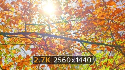 Otoño