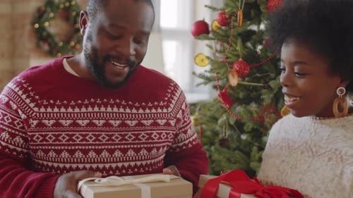 Couple Exchanging Christmas Gifts by Decorated Tree