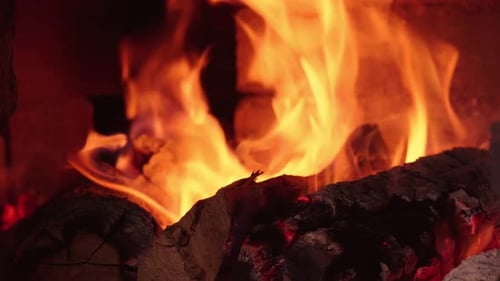 Firewood in oven and fireplace wood. Burning fire, firewood in fireplace