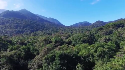 River Background Video Footage - Aerial View Of A Forest Landscape