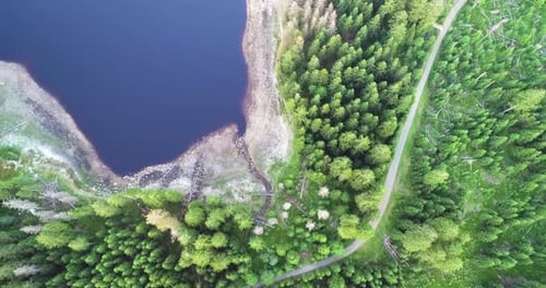 Voe de cima para baixo aéreo sobre o lago da floresta e a estrada vazia