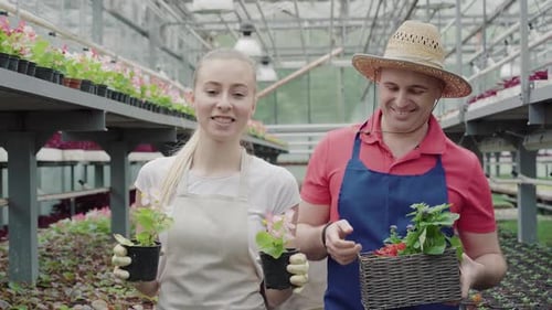 Smiling Gardeners tending to plants in greenhouse
