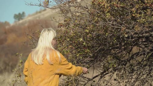 Blonde Woman Foraging Berries in Rural Setting