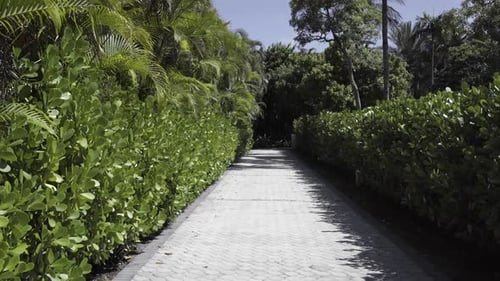 Walking Along A Sunny Suburban Driveway Path