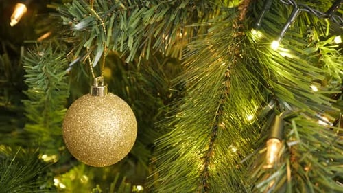 Gold color bauble on the Christmas tree branch 4K 2160p 30fps UltraHD footage - Golden round orname